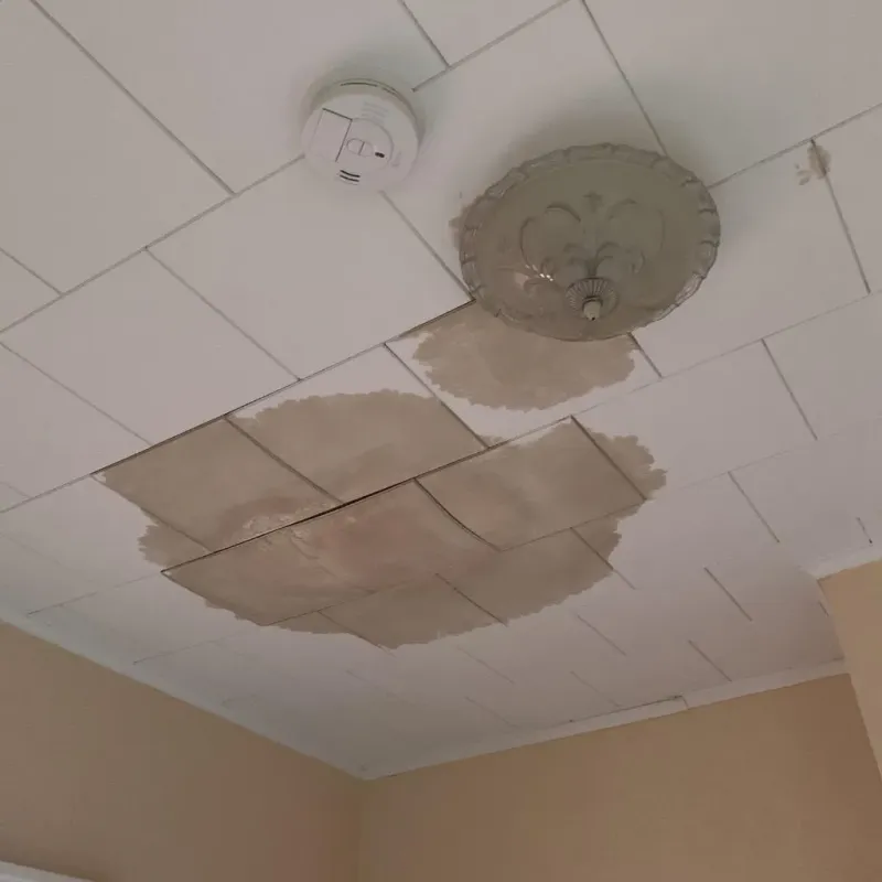 Ceiling Water Damage Repair in Blue Ridge, VA