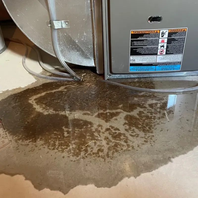 Pipe Burst and Leak Restoration in Blue Ridge, VA