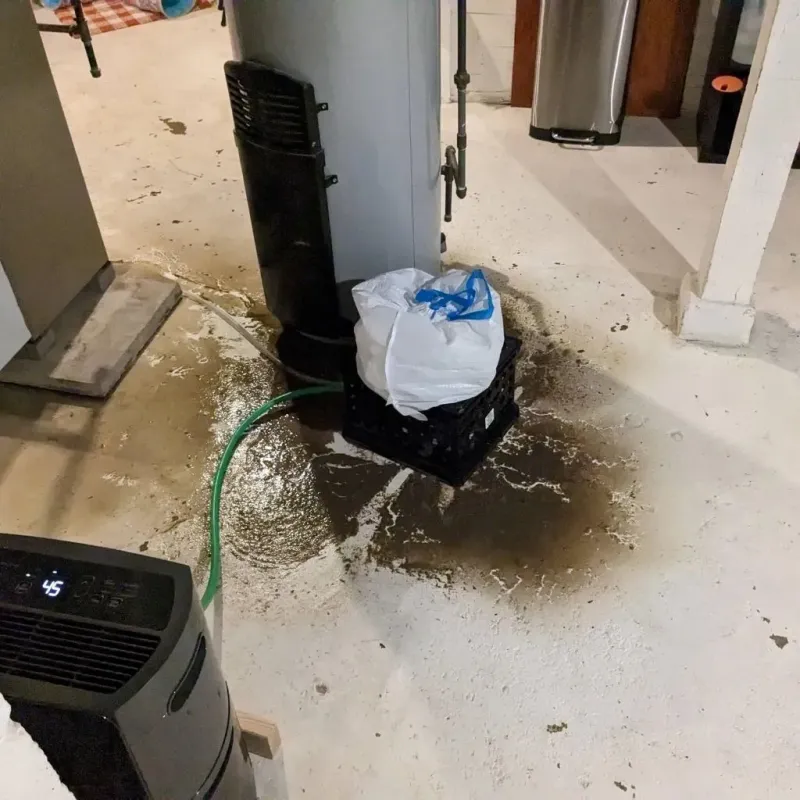 Sewage Backup Cleanup Service in Blue Ridge, VA